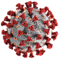 Image of magnified covid virus